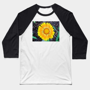 Orange & Yellow Daisy Baseball T-Shirt